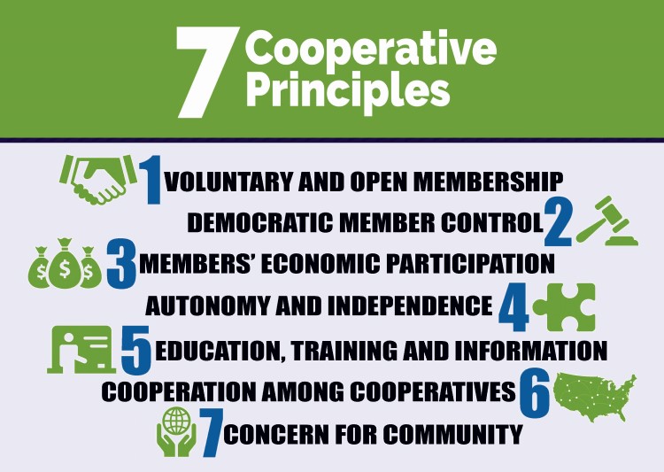 Top of image is a title of white text on green background that reads, “7 Cooperative Principles.” Lower portion is text on off-white background. Text is a list where the numbers are blue and the text is black. Each principle has a graphic representing it to either the left or right that is green. The text and graphic representations are as follows: 1. Voluntary and open membership. Graphic of two hands shaking. 2. Democratic member control. Graphic of a gavel resting on a stand. 3. Members’ economic participation. Graphic of money bags. 4. Autonomy and independence. Graphic of puzzle piece. 5. Education, training, and information. Graphic of a person and lines that indicate text for them to read. 6. Cooperation among cooperatives. Graphic of the United States. 7. Concern for community. Graphic of two hands holding up a globe. Image credit to: nipco.coop.