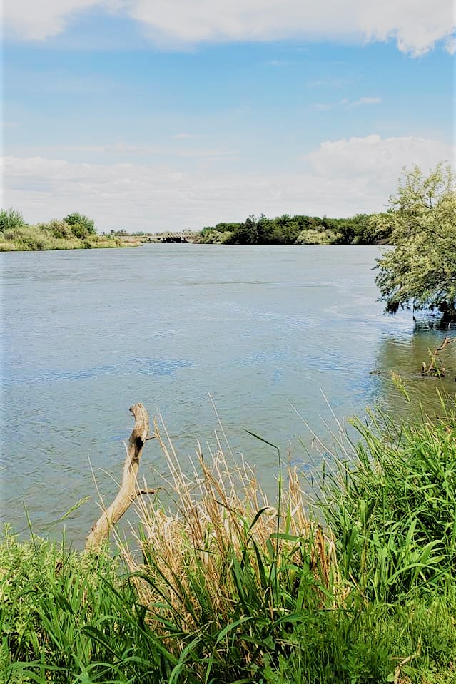Image of the Yakima River from Richland, WA facing east toward a train bridge and the connection to the Columbia river. The riverbank with brush and tress is also visible. It is a sunny day with clouds in the sky.