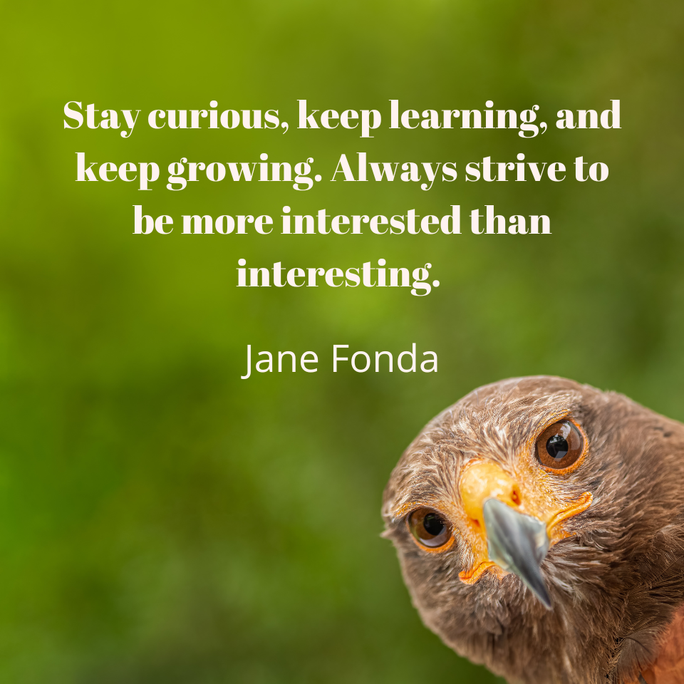 Image contains a predatory bird looking at the photographer. Also featured is a quote by Jane Fonda that reads "Stay curious, keep learning, and keep growing. Always strive to be more interested than interesting."