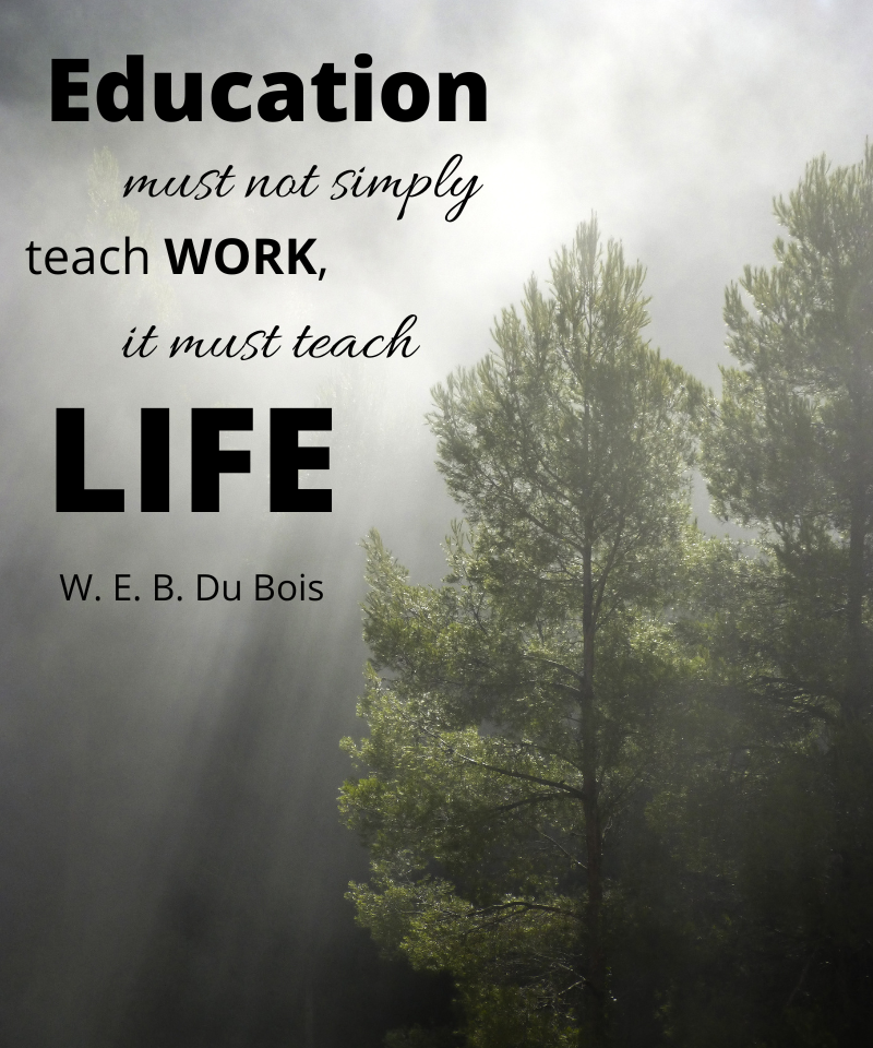 Image is of sunlight filtering through fog and onto pine trees. Also featured is a quote by W. E. B. Du Bois which states "Education must not simply teach work, it must teach life.