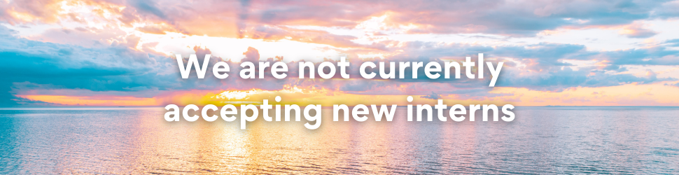 The image features a sunset over the water with the following text: "We are not currently accepting new interns"
